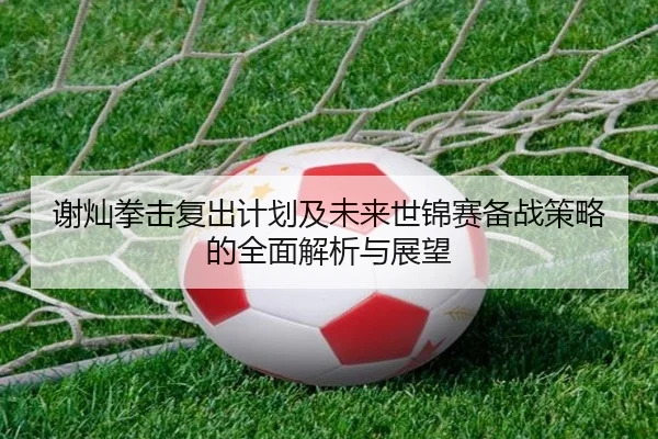 谢灿拳击复出计划及未来世锦赛备战策略的全面解析与展望